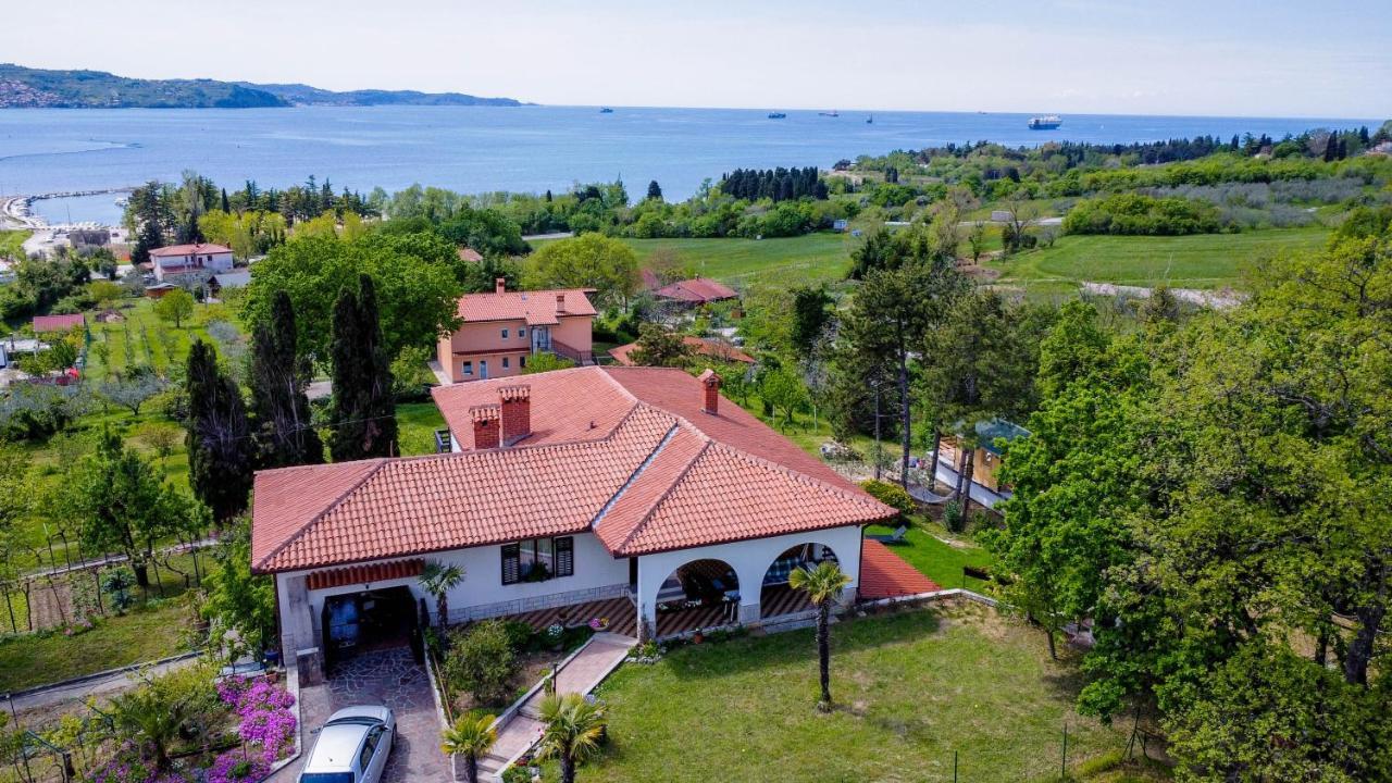 Active Chillax Oasis Apartments 安卡兰 外观 照片