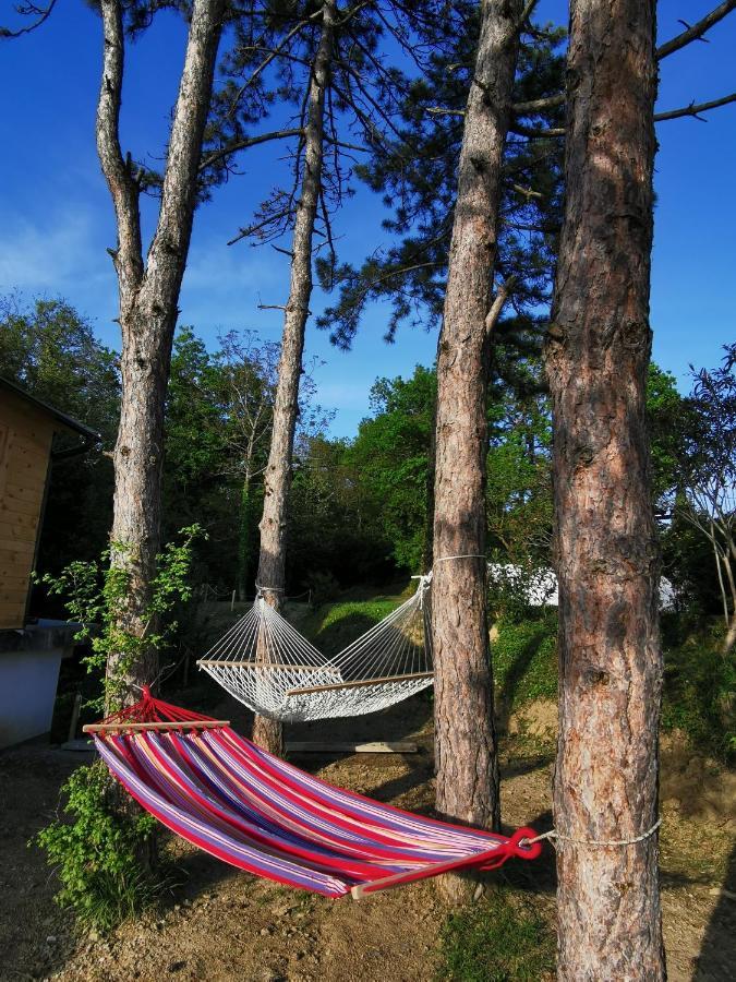 Active Chillax Oasis Apartments 安卡兰 外观 照片