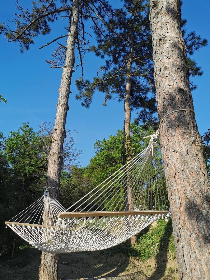 Active Chillax Oasis Apartments 安卡兰 外观 照片