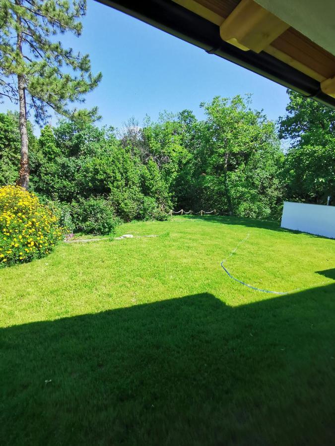 Active Chillax Oasis Apartments 安卡兰 外观 照片