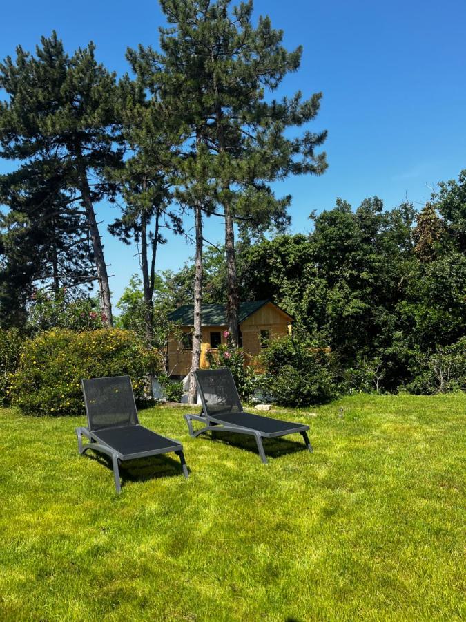 Active Chillax Oasis Apartments 安卡兰 外观 照片