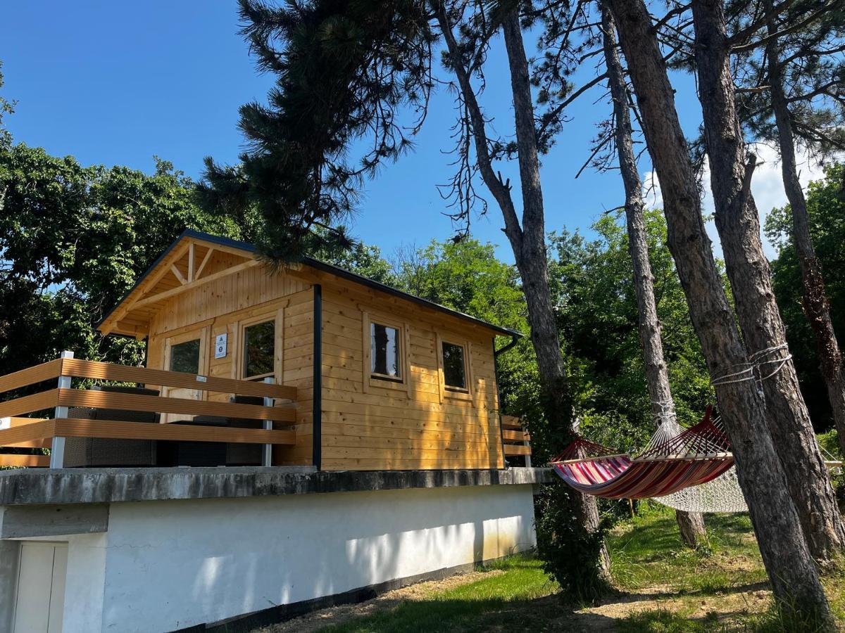 Active Chillax Oasis Apartments 安卡兰 外观 照片